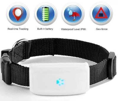 Трекер GPS TK-STAR TK911 з нашийником для хатніх тварин