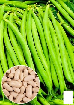 На развес Фасоль спаржевая "Корина" Agro-Market цена за 15г (46502)
