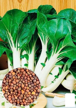 На развес Капуста "Пак Чой" Agro-Market цена за 2г (46098)