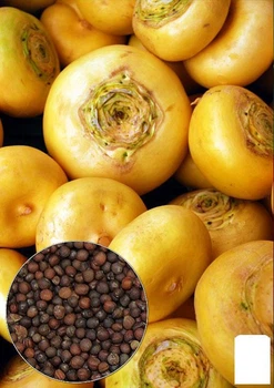 На развес Репа Agro-Market цена за 5г (46101)