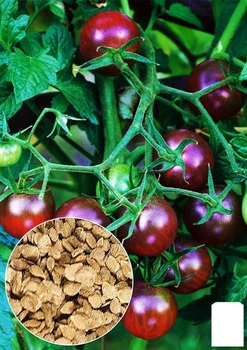 На развес Томат "Маслята" Agro-Market цена за 1г (46515)