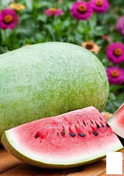 Арбуз "Медовый гигант" (в банке) Agro-Market 100г (52171)