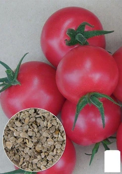На развес Томат "Волгоградский розовый" Agro-Market цена за 1г (22152)
