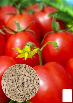 На развес Томат "Болгарская сливка" Agro-Market цена за 2г (52201)