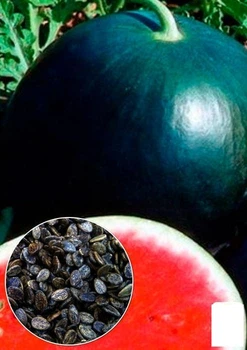 На развес Арбуз "Сахарный малыш" Agro-Market цена за 5г (49060)