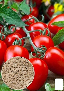 На развес Томат "Сливка-ленивка" Agro-Market цена за 1г (52195)