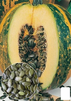 На развес Тыква "Ольга" Agro-Market цена за 10г (52263)