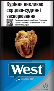 Блок Сигарет West Blue Up x 10 пачек (4030600252796)