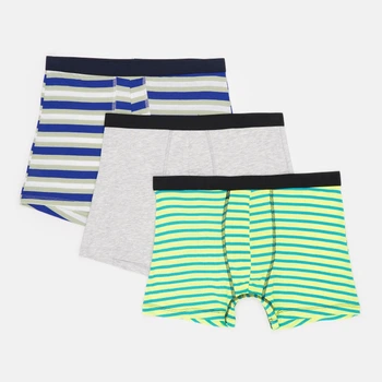 Трусы (3шт) Basic Collection L синий, серый 14380929405