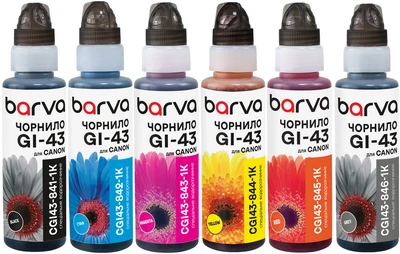 Комплект чернил Barva для Canon GI-43 флакон OneKey(1K) 6x100 мл BK/C/M/Y/R/GY (CGI43-1K-MP)