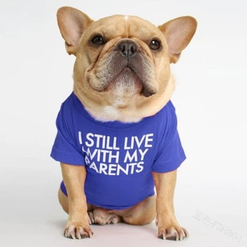 Футболка для котів Pet Style "I steel" Синя XS