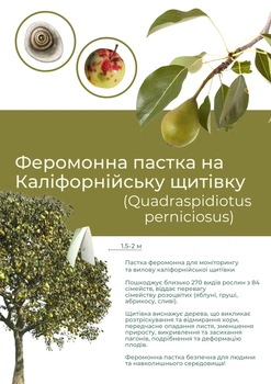 Феромонна пастка на каліфорнійську щитівку (пастка + феромон)