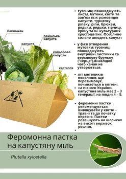 Феромонна пастка на капустяну міль (пастка + феромон)