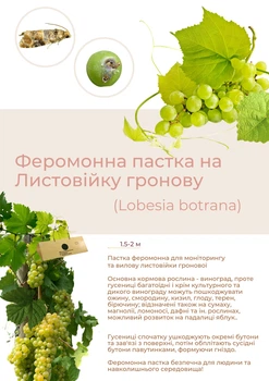Феромонна пастка на листовійку гронову (пастка + феромон)