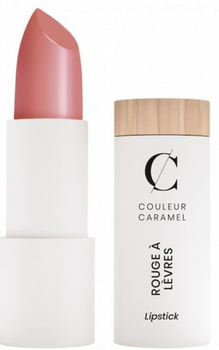 Помада для губ Couleur Caramel Rouge A Levres Refill Lipstick 257 Rosa Ancien Recarga 3.5 г (3662189603860)