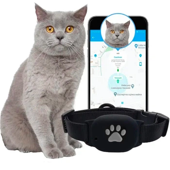 GPS нашийник для котів та кішок 2024 MYOX MPT 60-CB (чорний) Висока точність