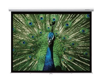 Проекционный экран GrandView CB-P72(4:3)WM5(SSW)