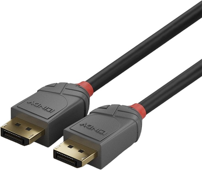 Kabel Lindy DisplayPort - DisplayPort 1 m Black (4002888364812)