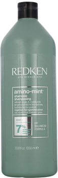 Шампунь для очищення волосся Redken Amino Mint 1000 мл (3474637068363)