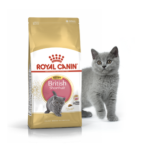 Сухой корм для котят Royal Canin British Shorthair Kitten породы Британская короткошерстная, 400 г