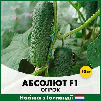 Огурец Bejo Абсолют F1, 10 шт
