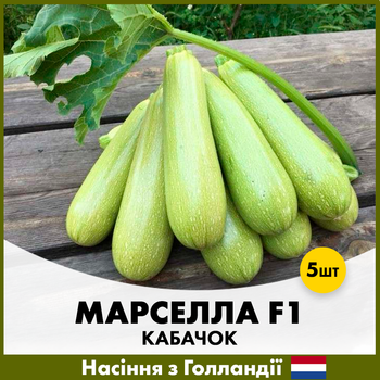 Кабачок Enza Zaden Марселла F1, 5 шт