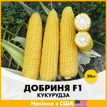 Кукуруза Lark Seeds Добрыня F1, 20 шт, Семена из США