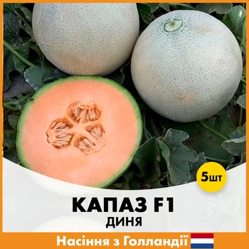Дыня Enza Zaden Капаз F1, 5 шт
