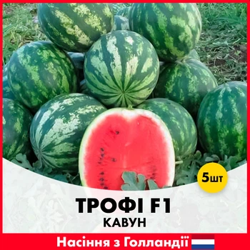 Арбуз Nunhems Трофи F1, 5 шт