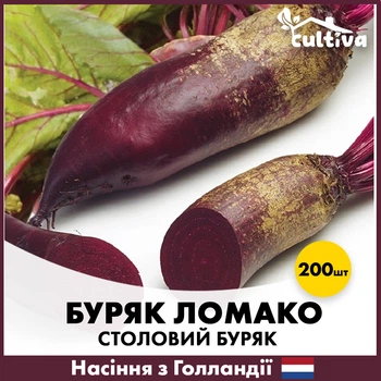 Столовая свекла Ломако Rijk Zwaan, 200 шт