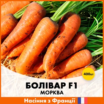 Морковь Clause Боливар F1, 400 шт