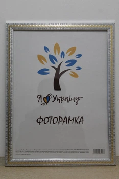 Фоторамка 50Х70, серебряный с золотой змейкой, 2416-120G, СТЕКЛО+ДВП