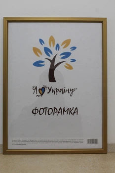 Фоторамка 30Х45, золотий із золотою вставкою, 1511-0491-11, СКЛО + ДВП