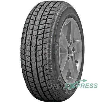 Шина зимова Roadstone Euro-Win 650 225/65 R16C 112/110R