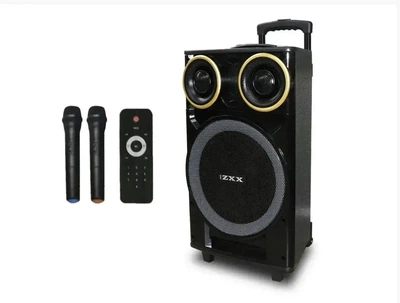 Акустическая переносная колонка с двумя микрофонами ZXX-9191 60Вт 67х38х32см TWS/FM/USB/TF/SD/BT/REC/LED черный