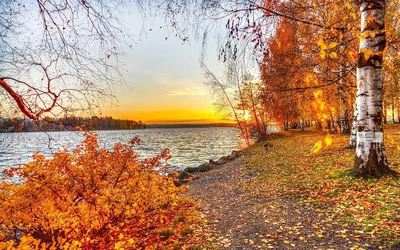Картина на холсте "Природа" (N240) 55х85см
