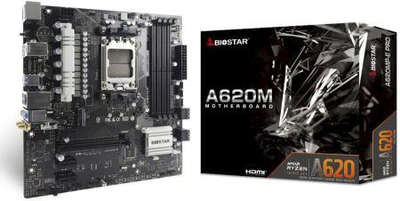 Материнська плата Biostar PA620MP-E PRO