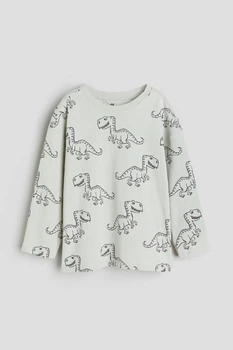 Реглан светло-зеленый Динозавры H&M 92см (400097107)