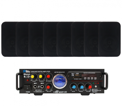 Акустический комплект SKY SOUND WSM-2408 BLACK