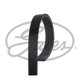 Поликлиновый ремень Gates 5PK1013