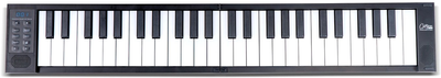 Carry-On Folding Piano Touch 49 динамических клавиш Black (R128228)