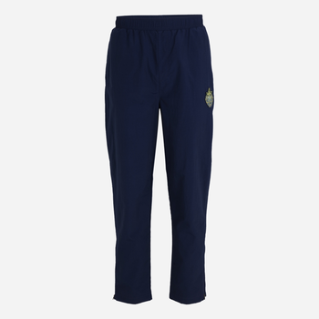 Спортивні штани чоловічі Fila FAM0361-50001 S Сині (4064556389022)