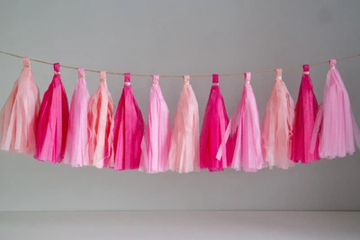 Гірлянда tassel "Барбі", 12 пензликів
