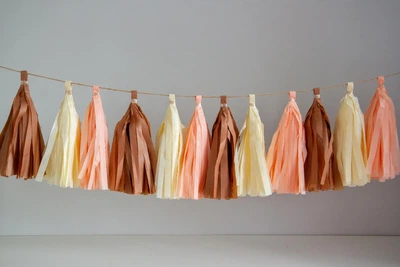 Гірлянда tassel "Шоколад", 12 пензликів