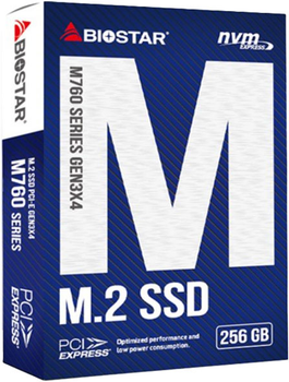 Dysk SSD Biostar M760 256GB M.2 	PCIe Gen3x4 3D TLC NAND (M760-256GB)