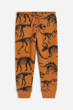 Спортивные штаны коричневые Динозавры H&M 92см (400097415)
