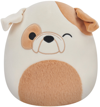 М'яка іграшка Squishmallows Little Plush Brock - Winking Bulldog W/Fuzzy Belly 19см (0196566213302)