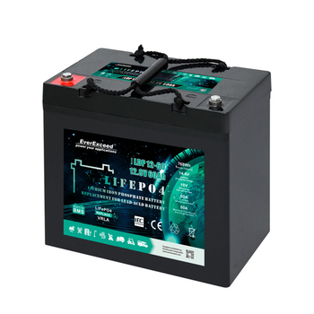 Аккумуляторная батарея EVEREXCEED LiFePO4 12,8V 60Ah 4000циклов