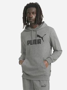 Bluza z kapturem męska Puma Ess Big Logo Hoodie Tr 58668803 M Szara (4063697318526)