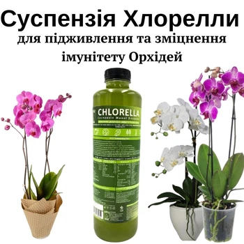 Комплексне натуральне добриво для орхідей, для живлення та підвищення імунітету: Суспензія Хлорелли, 1л, арт.85556